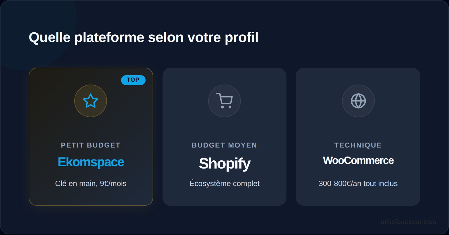 Arbre de décision pour choisir sa plateforme e-commerce selon le budget et les compétences techniques